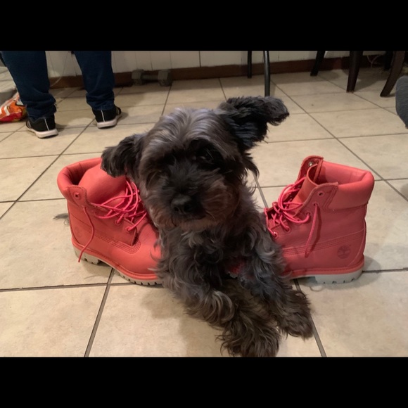 Timberland Boots - Picture 2 of 3